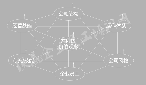 管理機(jī)構(gòu)培訓(xùn)公司盧文平_副本.png