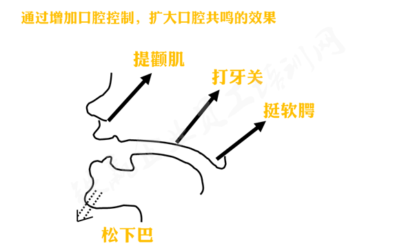 管理咨詢公司100名_副本.png