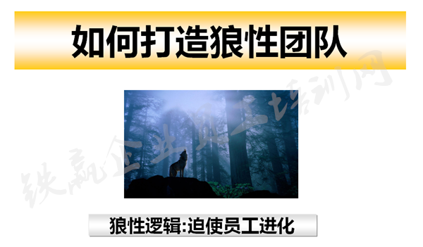 重慶管理咨詢(xún)培訓(xùn)公司_副本.png